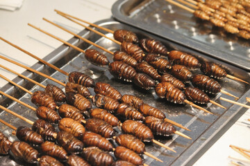 fried cockroaches on a stick as a part of chinese street food in beijing city china