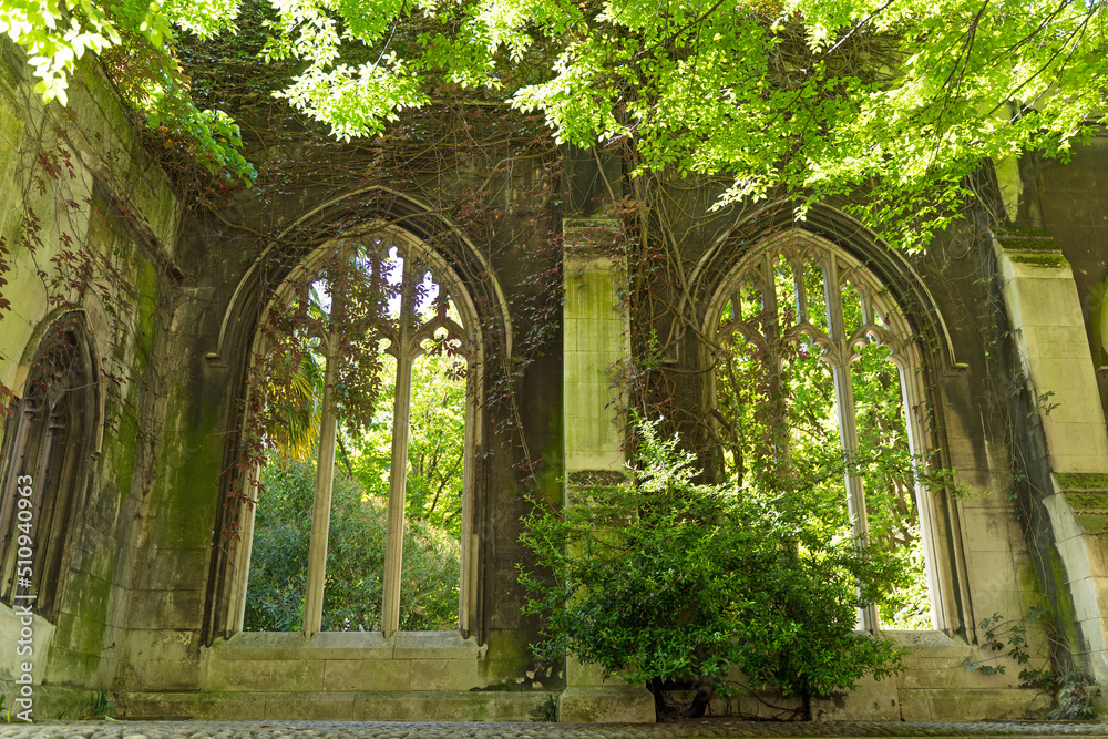 Wall mural an old abandoned church overgrown with nature. uk