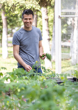 Farmer checking vegetable and herbs in garden in spring