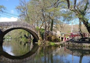 Fototapeta na wymiar Puente romano sobre el río Arnoia en Baños de Molgas, Galicia