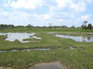A nice summer day for a hike through the beautiful marshland of Assateague Island, Worcester County, Maryland.