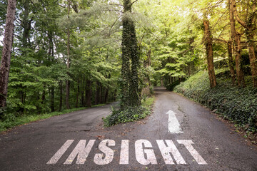 The text Insight on a road in the woods with sun rays shining.