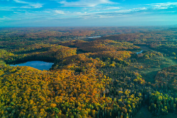 Aerial shot of Lakes, ponds & forests in autumn