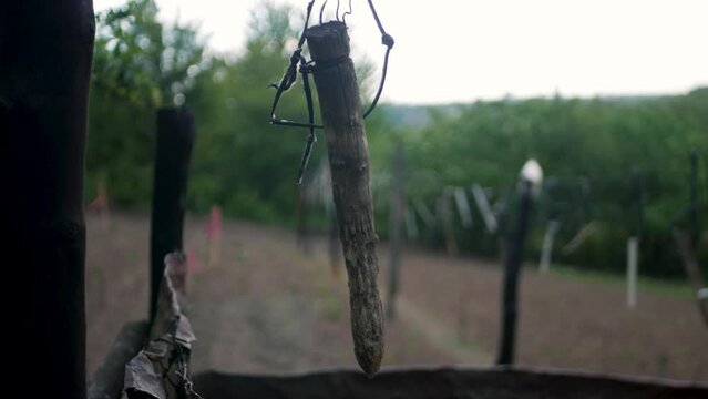 Close up of old scarecrow stick spinning and swaying in the wind. Single thick twig scaring birds away from garden with vegetables. Concept of death and destruction on an empty quiet battlefield 
