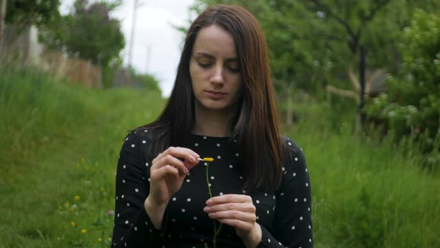 Sad caucasian woman in dress guessing if someone loves her with camomile flower. Distressed long-haired girl tears palets from camomile flower and finds out that love is not mutual with boyfriend
