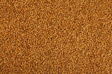 Texture of yellow fenugreek seeds or shambhala, helba seeds as food background. Fenugreek is traditional Indian seasoning. Top view, close-up
