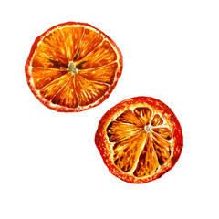 Watercolor illustration of orange isolated on white background