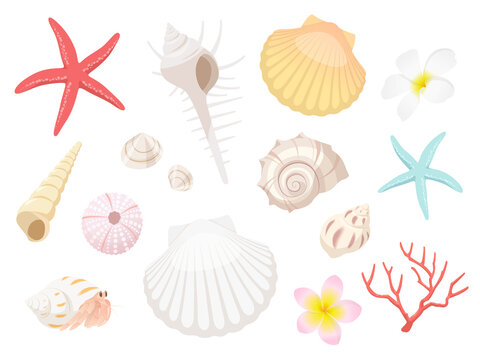 貝殻モチーフセット_ベクターイラスト