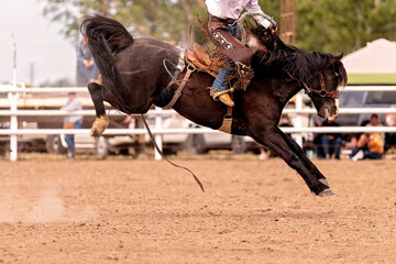 Cowboy Riding A Bucking Horse