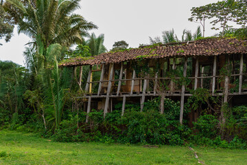 Ruínas de antiga fazenda em Guimarães, Maranhão - Brasil