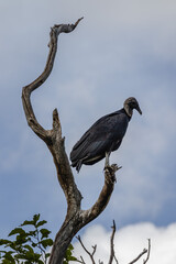 Vulture Peak, Ituaçu City, State of Bahia, Brazil