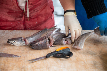 Catch of the day for sale on daily fish market in old port of Marseille, Provence, France