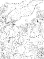 Different types of irises on the background of the girl's face and hair. Black and white. Realistic style. Coloring page.