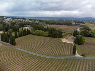 Aerial panoramic view on rows of grape plants on vineyards in Bandol wine making region, Provence,...