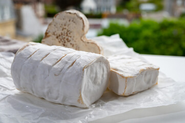 French cheeses heartshaped, squared and cylindrical neufchatel cow cheese with mold on white paper, Normandy, France