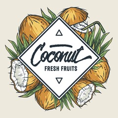 Coconuts. Summer tropical fruits design with text area