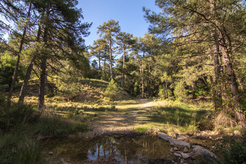 Fototapeta na wymiar Trails with wonderful views of the Sierra De Cazorla, Spain. Nature tourism concept.