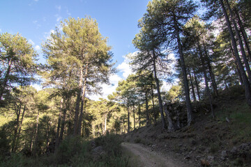 Obraz premium Trails with wonderful views of the Sierra De Cazorla, Spain. Nature tourism concept.