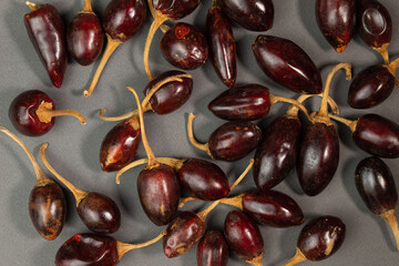 Diferentes chiles sobre fondo gris.