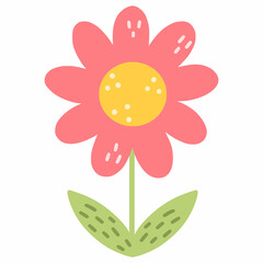 Cute flower on white background. Pink chamomile. Vector doodle illustration. Garden plant. Summer sticker.