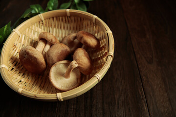 Mushroom shiitake on the table