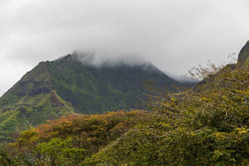Obraz na płótnie Canvas The island of Oahu in Hawaii