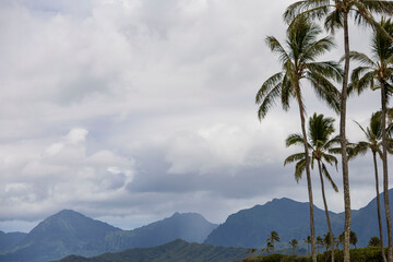 Fototapeta na wymiar The island of Oahu in Hawaii