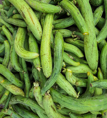 fresh sponge guard many close up from top angle