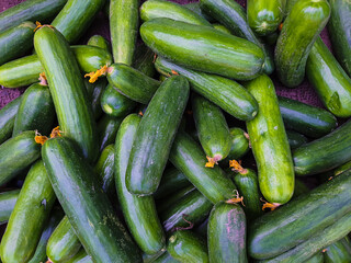 fresh green cucumber many close up from top angle