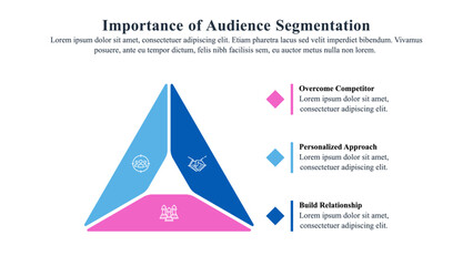 Infographic template of audience segmentation.