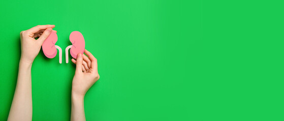Hands and paper kidneys on green background with space for text