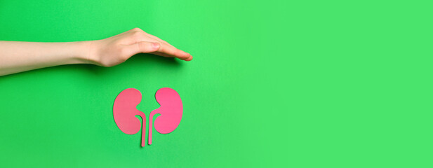 Hand and paper kidneys on green background with space for text