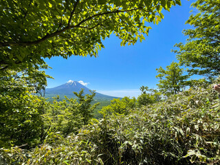 竜ヶ岳から見る富士山