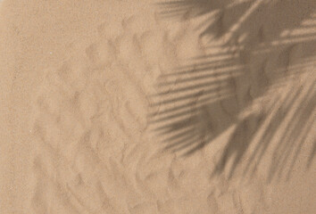 Tropical beach sand with shadows of coconut palm tree leaves