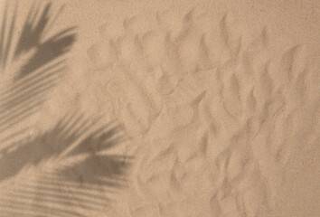 Tropical beach sand with shadows of coconut palm tree leaves - obrazy, fototapety, plakaty