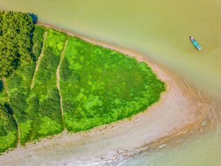 A naturally occurring delta in the Yangtze River