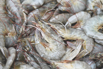 raw shrimps on washing shrimp on bowl shrimps background , fresh shrimp prawns for cooking seafood food in the kitchen