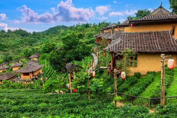 Fototapeta na wymiar Old chinese style house in tea plantation at Ban Rak Thai the village is surrounded by mountain in Mae Hong Son, Thailand.
