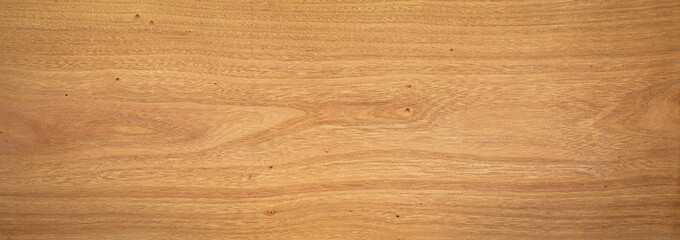 Extra long elm wood plank texture background. wood texture background