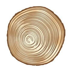 Log cut, tree rings pattern, vector illustration