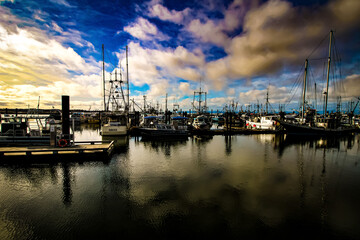 boats in the harbor