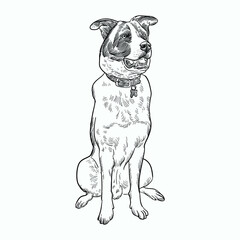 Vintage hand drawn sketch sit dog