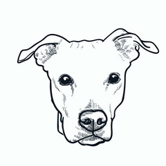 Vintage hand drawn sketch dog head