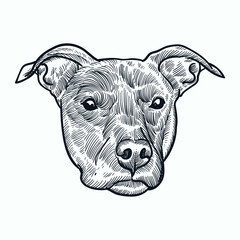 Vintage hand drawn sketch dog head