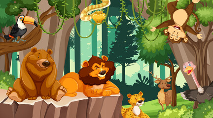 Obraz na płótnie Canvas Various animals in the forest