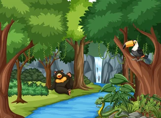 Forest scene with black bear and toucan bird © blueringmedia