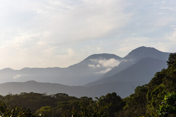 paisagem da floresta tropical com as montanhas ao fundo. Fundo de tele e primeiro e segundo plano