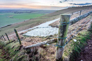 Closeup of section of the Alton Barnes White Horse,and surrounding barbed wire fence,Wiltshire,England,UK.