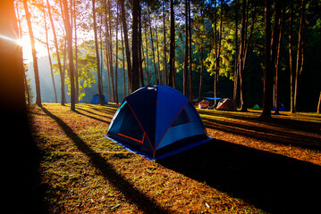 Camping,Adventures Camping and tent under the pine forest near water outdoor in morning and sunset at Pang-ung, pine forest park , Mae Hong Son, North of Thailand, forest background. Concept Travel