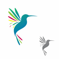 Obraz premium Hummingbird in isolated white background